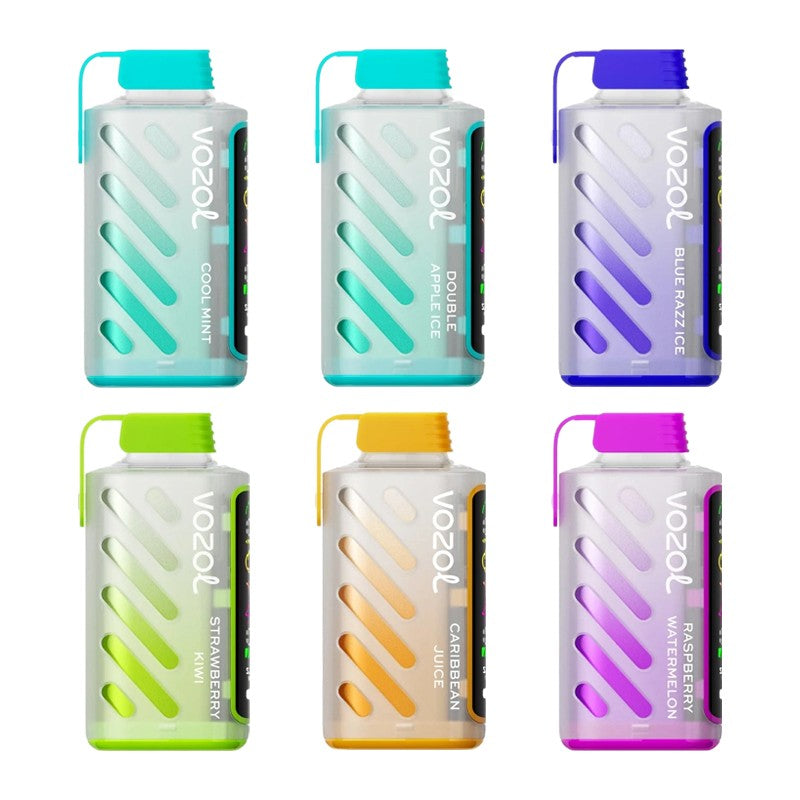 Impressive VOZOL Gear Power 20000 Disposable