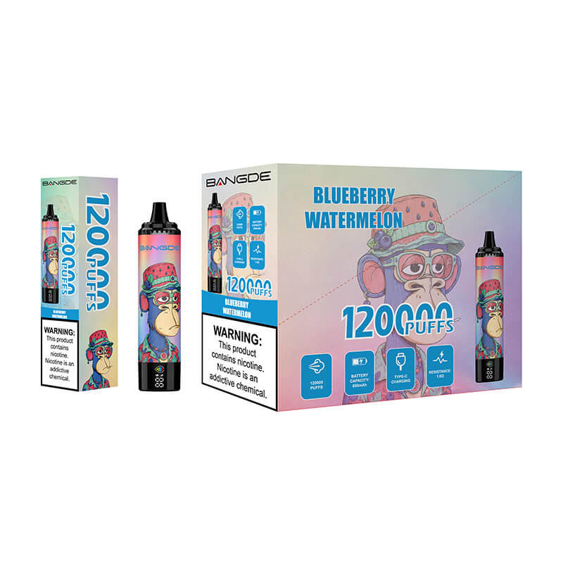 BANGDE 120000 Puffs Disposable Vape
