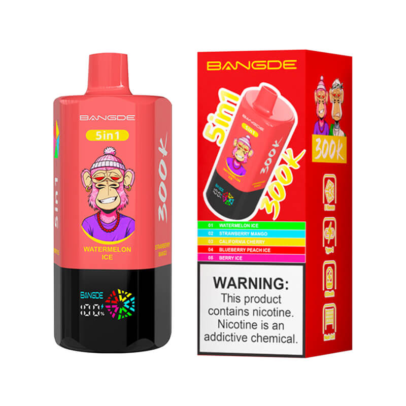 Bang DE 300000 Puffs 5in1 Disposable Vape 300K E-cigarettes Vaping