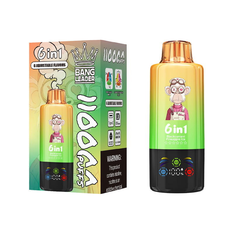 Bang Leader 110000 Puffs 6in1 Flavors Disposable Vape
