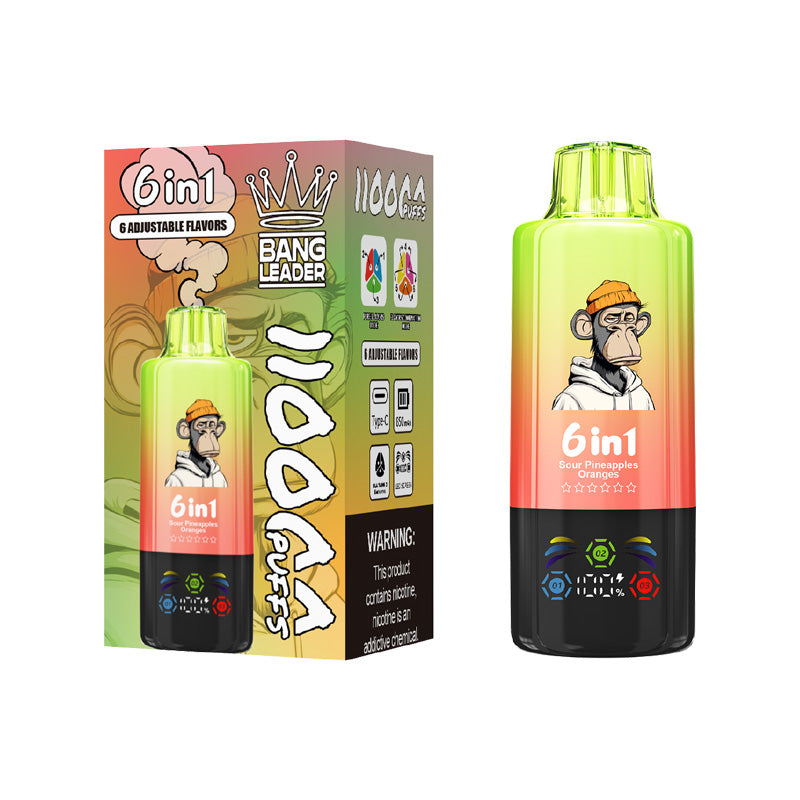Bang Leader 110000 Puffs 6in1 Flavors Disposable Vape