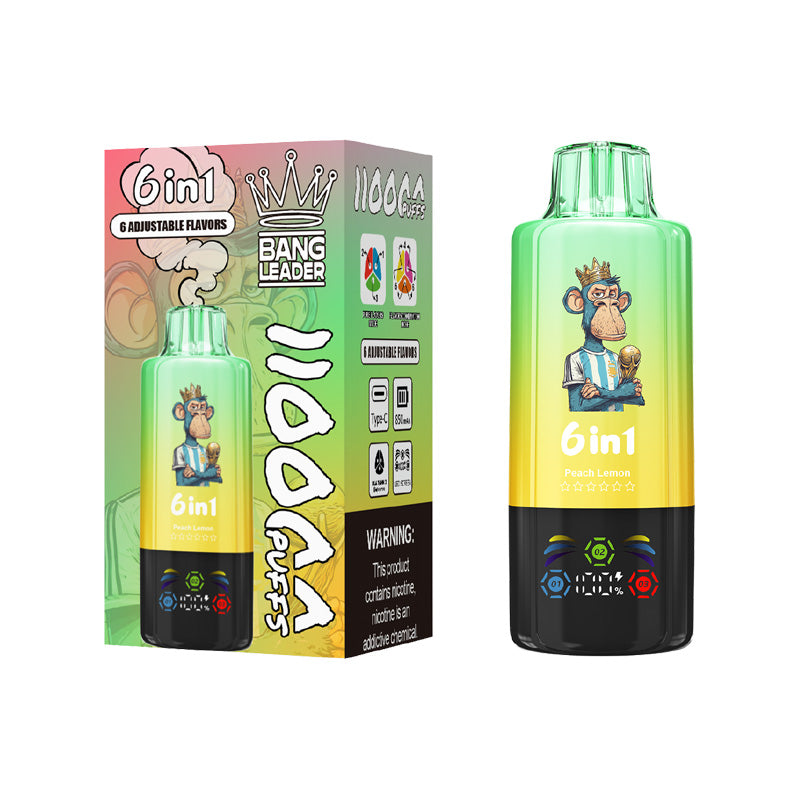 Bang Leader 110000 Puffs 6in1 Flavors Disposable Vape