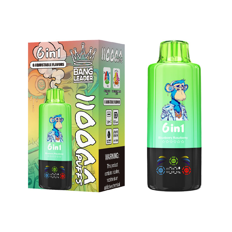 Bang Leader 110000 Puffs 6in1 Flavors Disposable Vape