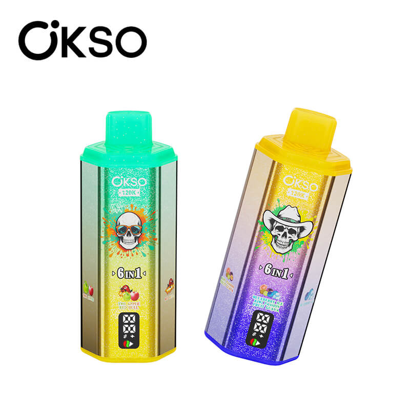 OKSO 120000 Puffs 6in1 Disposable Vape 120K 6 Flavors E-cigarettes | Vape  Pen