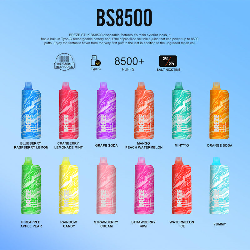 BREZE STIIK BS 8500 Puffs Disposable Vape