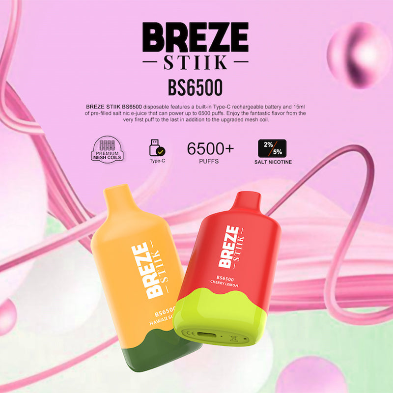 BREZE STIIK BS 6500 Puffs Disposable Vape