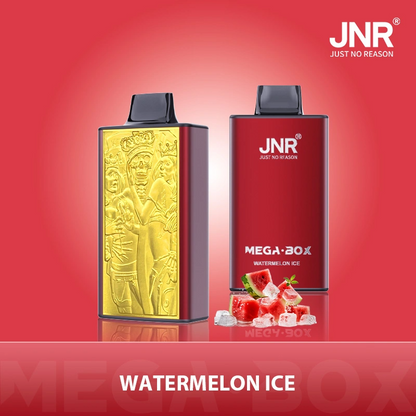 JNR Mega Box 25000 Puffs Disposable Vape