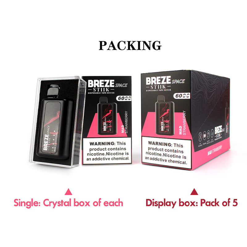 BREZE STIIK SPACE 6000 Puffs Disposable Vape