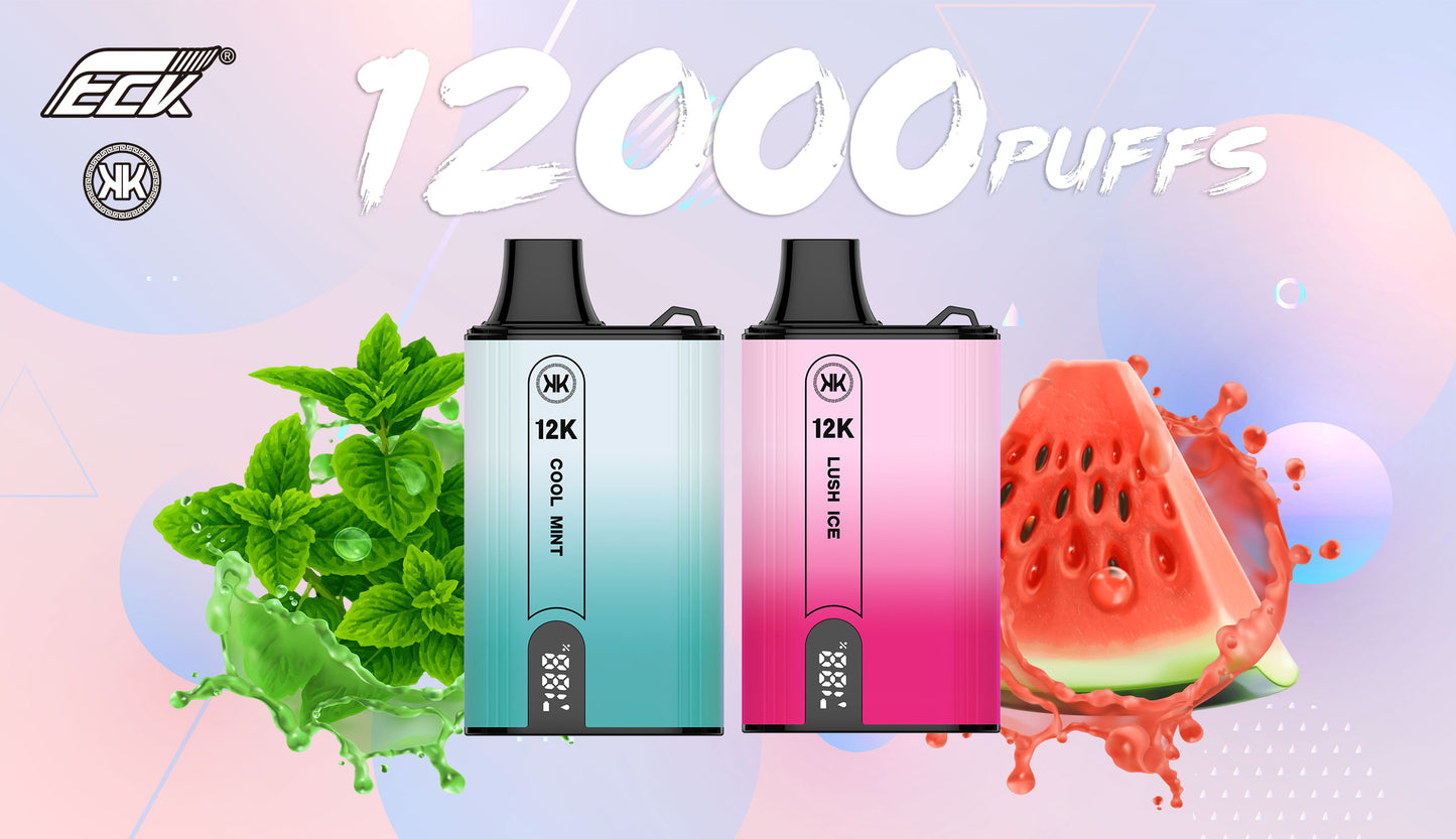 KK Energy 12000 Puffs Disposable Vape Kit