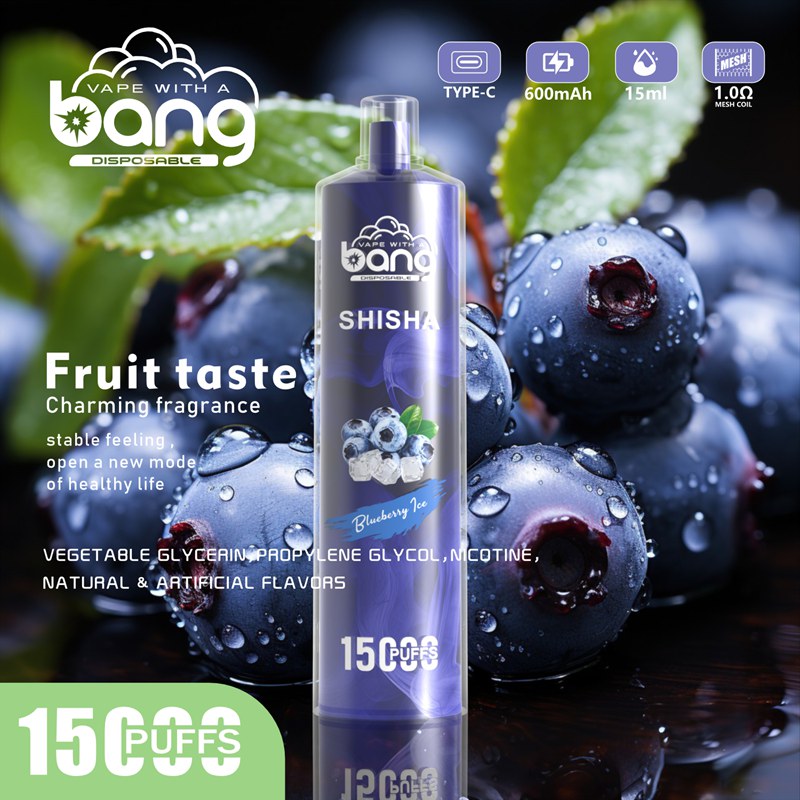 Bang SHISHA 15000 Puffs Disposable Vape