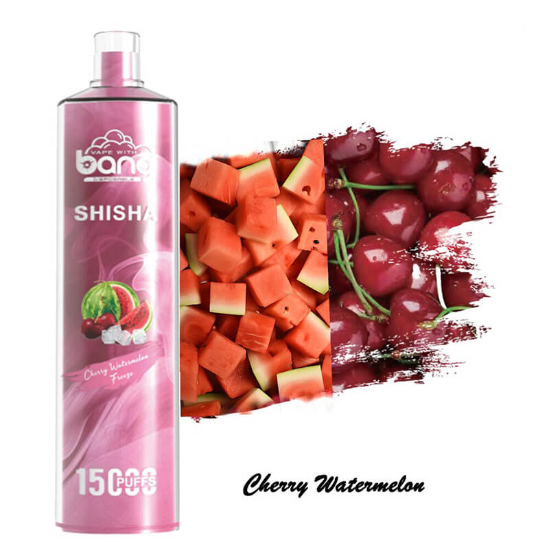 Bang SHISHA 15000 Puffs Einweg-Vape