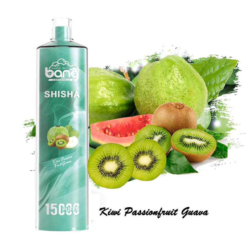 Bang SHISHA 15000 Puffs Monouso Vape