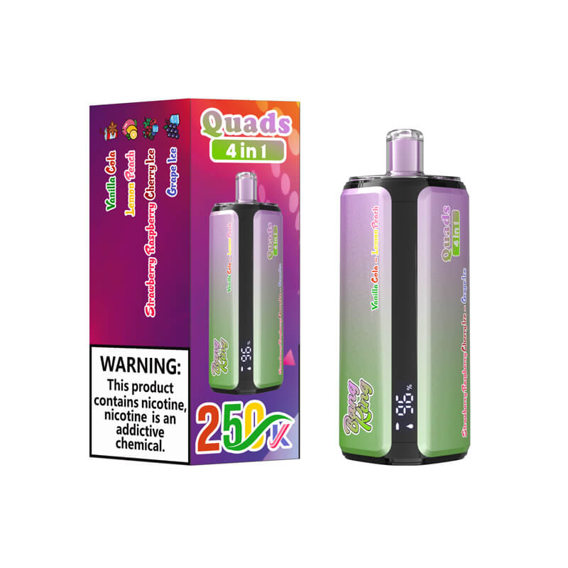 Bang King 250000 Puffs 4in1 Disposable Vape