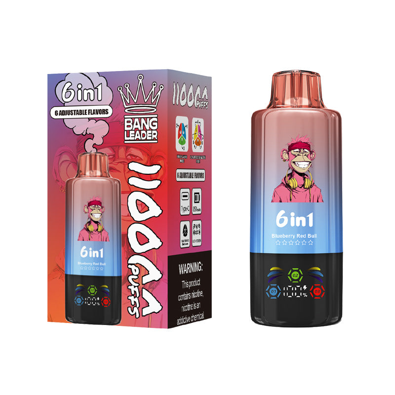 Bang Leader 110000 Puffs 6in1 Flavors Disposable Vape