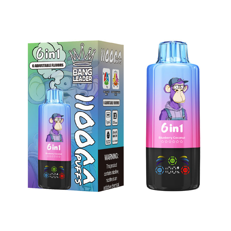 Bang Leader 110000 Puffs 6in1 Flavors Disposable Vape