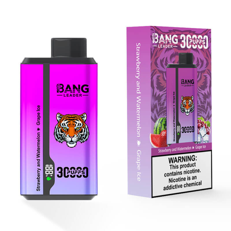 Bang Leader 30000 Dual Flavors Disposable Vape