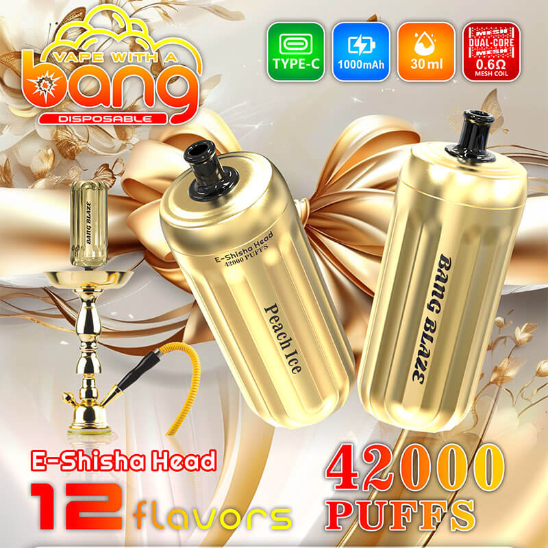 Bang Blaze E-Shisha Head 42000 Puffs Disposable Vape