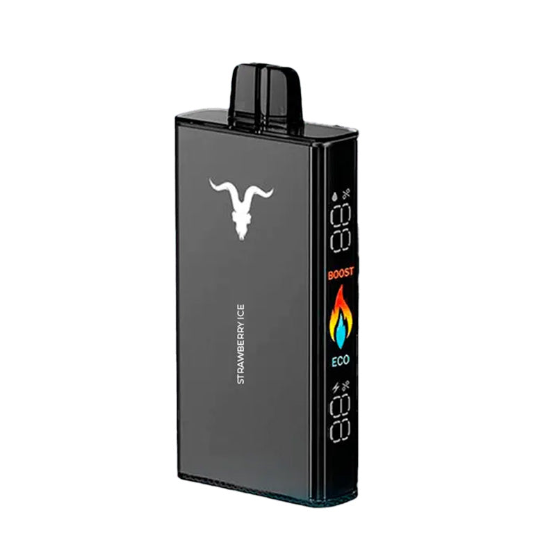 IGNITE V250 Disposable Vape 25000 Puffs Disposable Vape