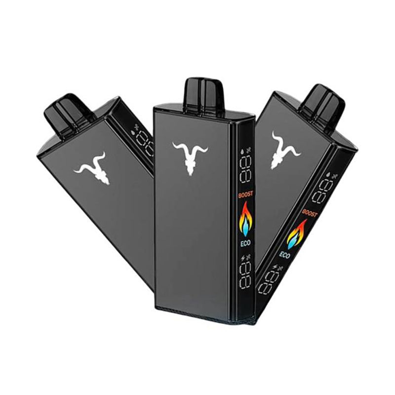 IGNITE V250 Disposable Vape 25000 Puffs Disposable Vape