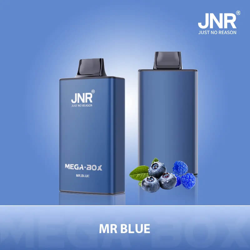 JNR Mega Box 25000 Puffs Monouso Vape