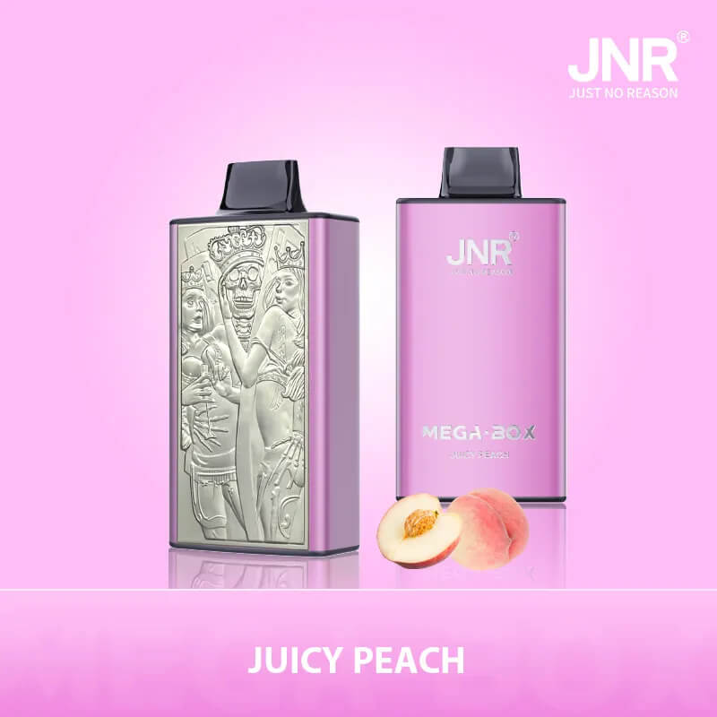 JNR Mega Box 25000 Puffs Monouso Vape