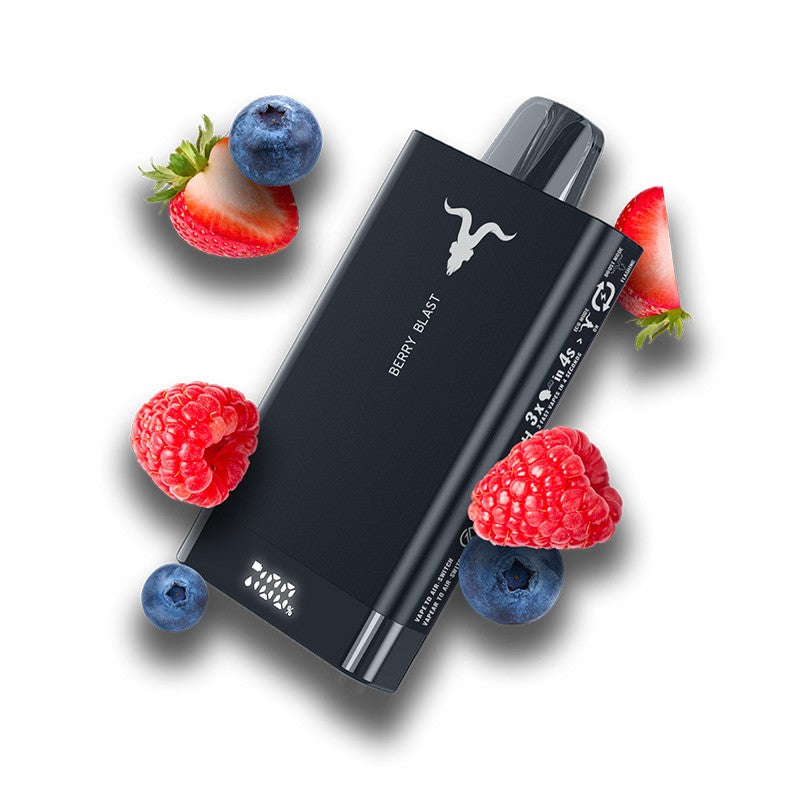 IGNITE V150 Disposable Vape 15000 Puffs Disposable Vape