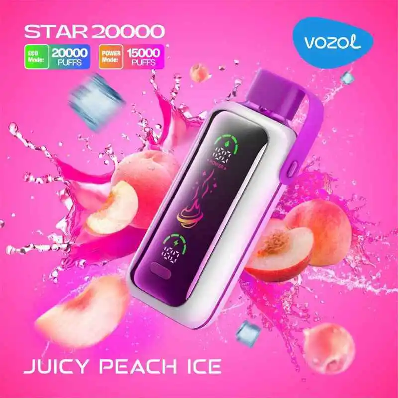 VOZOL Star 20000 Puffs Disposable Vape